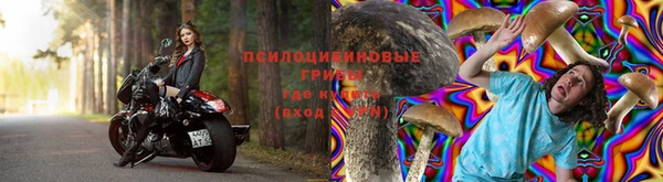 трава Богородицк