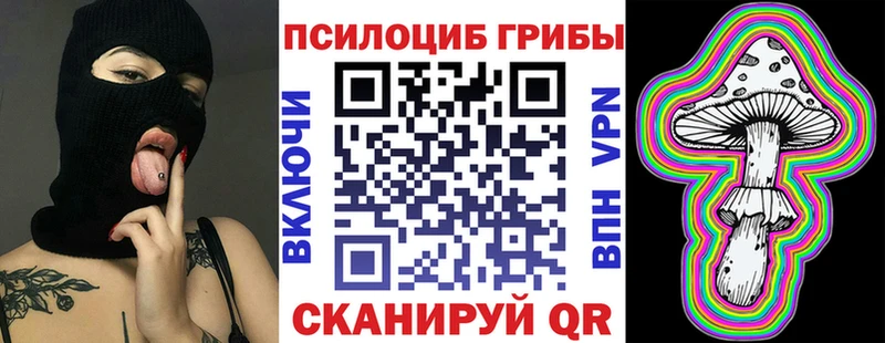 Купить закладки  Касимов  Псилоцибиновые грибы Psilocybe 
